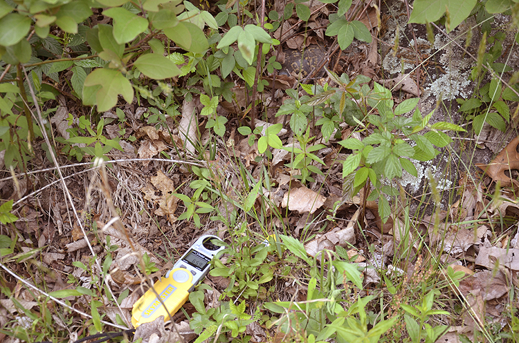 Can you find Jimmy Irwin in this photo?