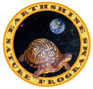 ENPLOGOsm.34263214_std