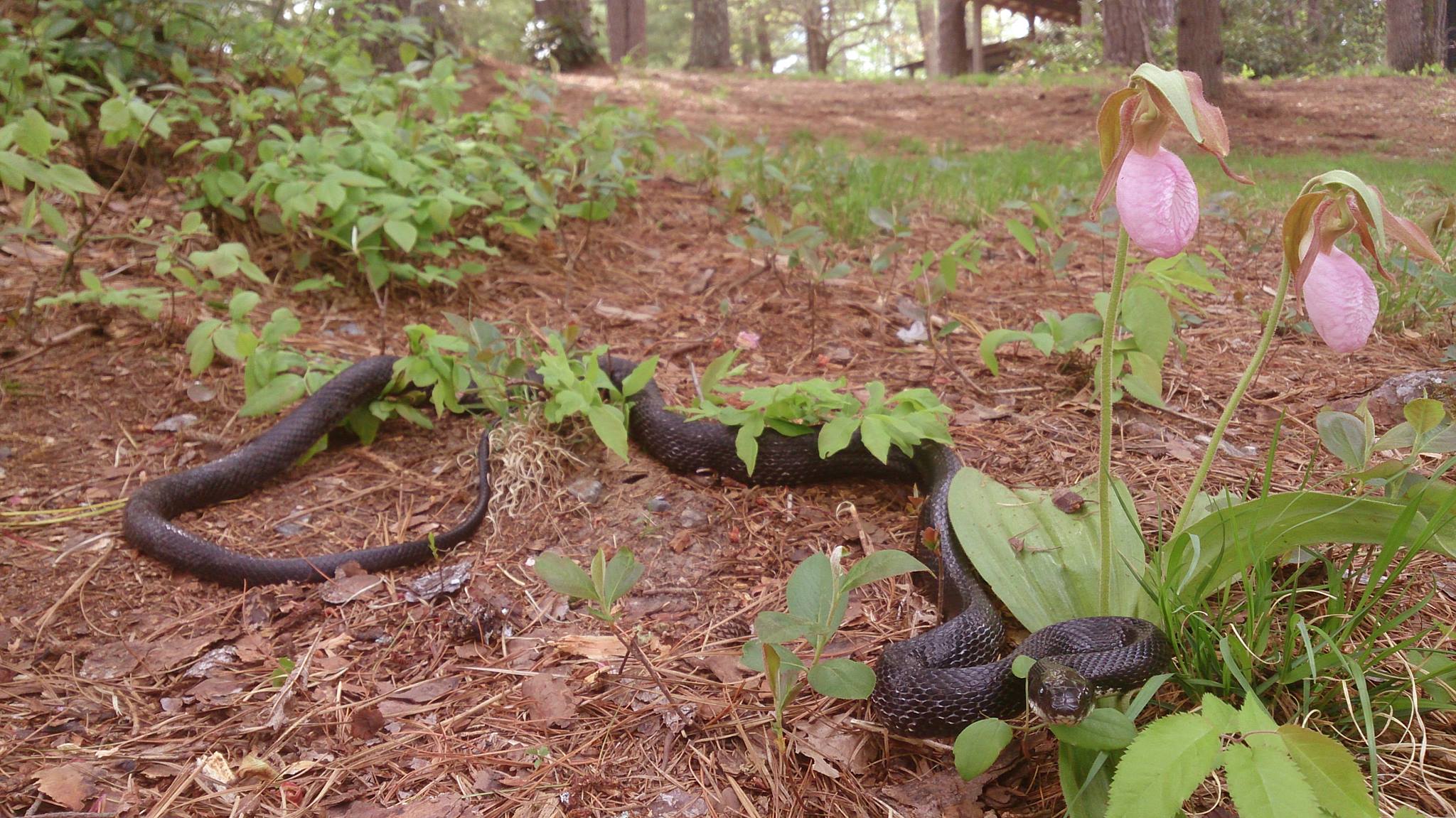 11212192_884958624908867_6062176130789254802_o