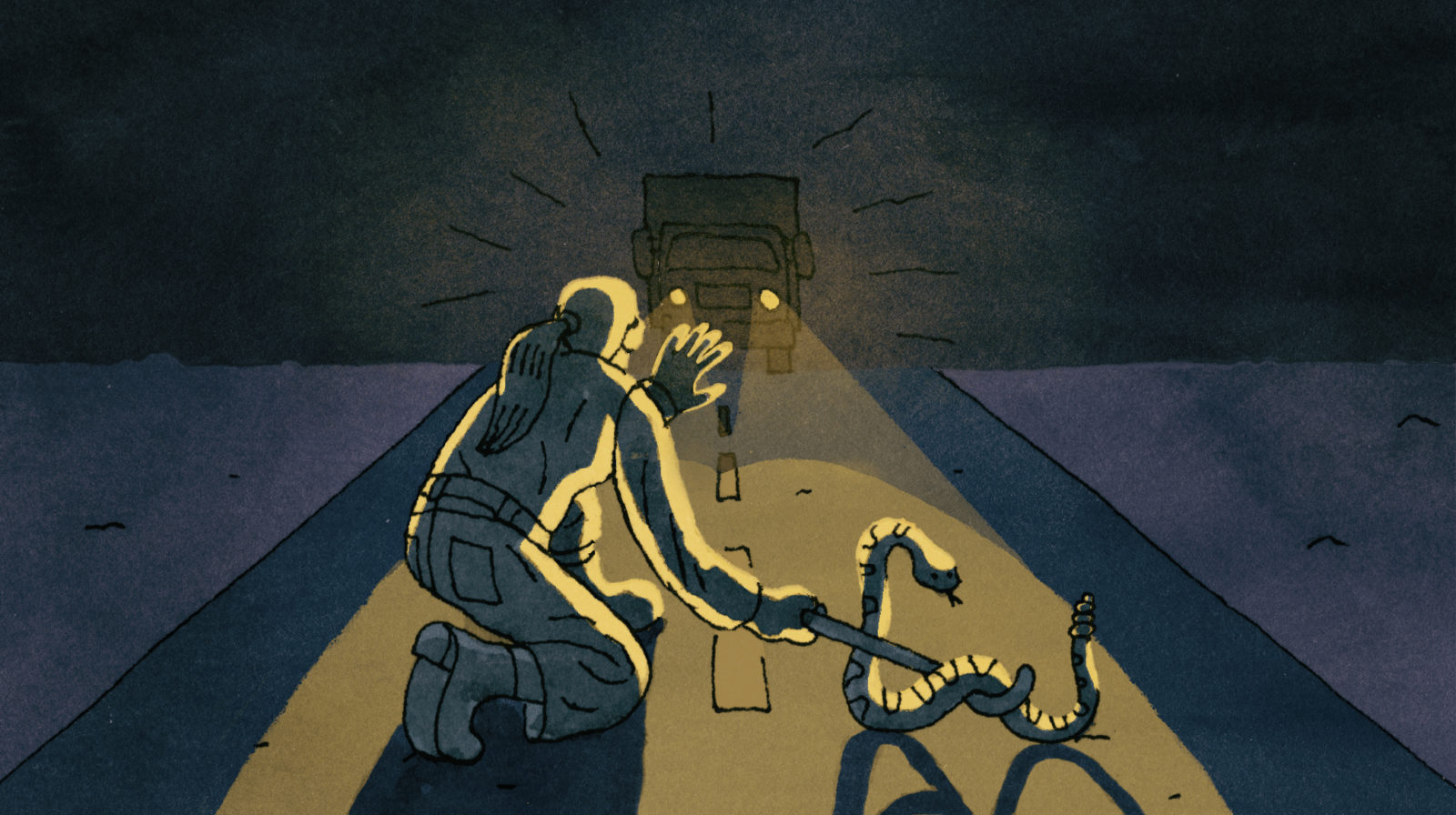 snake_final-1-1600x896