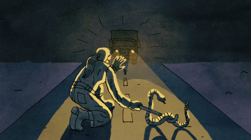 snake_final-1-1600x896