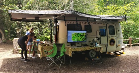 At the Lake Toxaway Nature Park in July